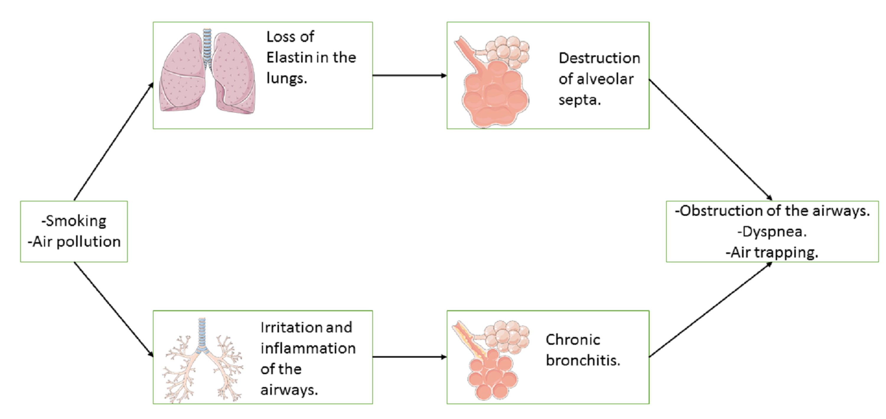 Cureus | The Importance Of Measuring Troponin In Chronic Obstructive ...