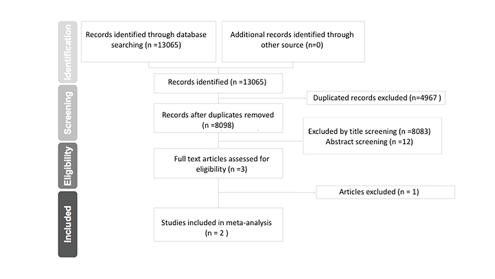 Cureus, Brainstem and Spinal Arachnoiditis Ossificans Associated With  Neurocysticercosis: A Case Report