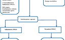 Neuropsychiatric Systemic Lupus Erythematosus: A 2021 Update On ...