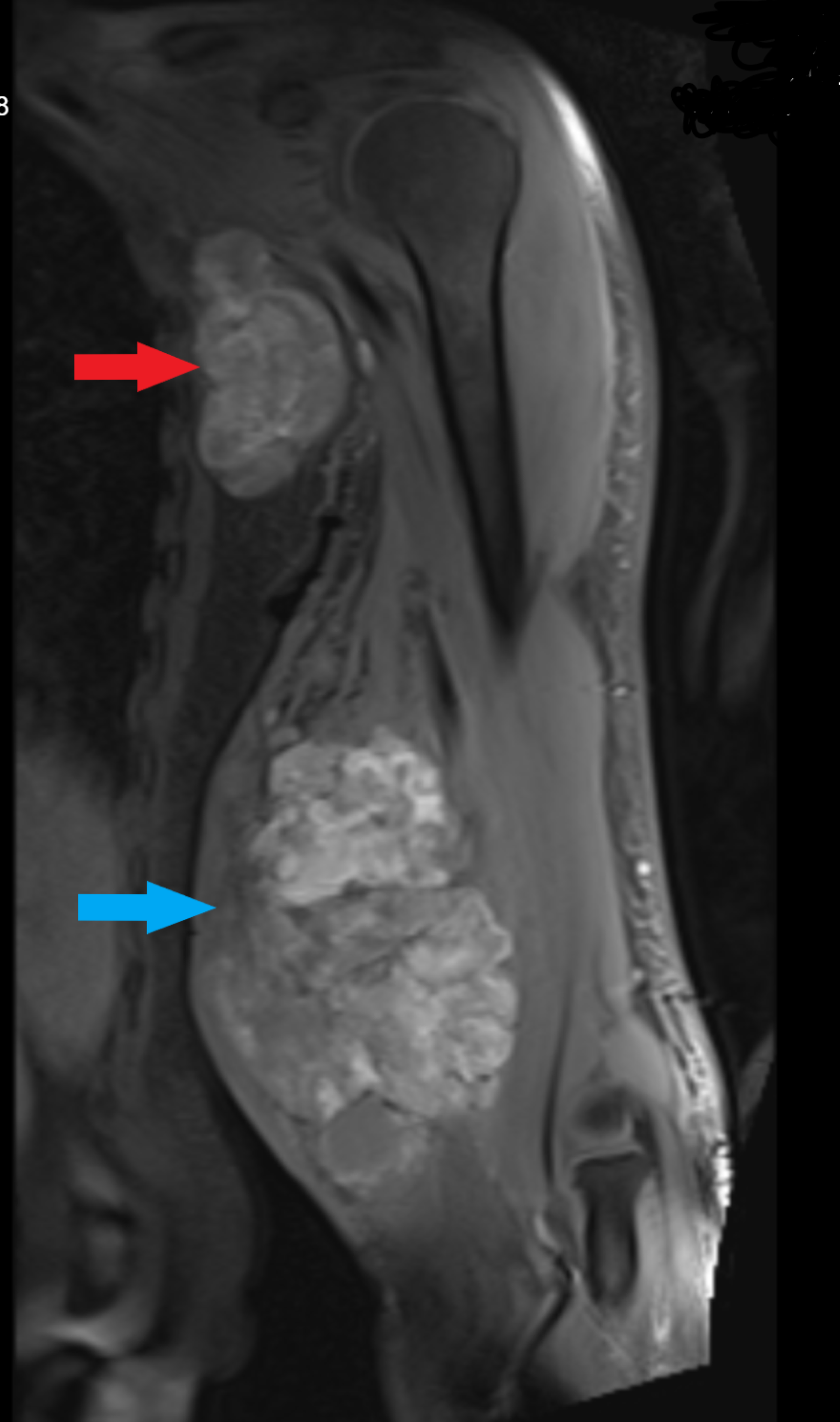 HALプロショップ2Elegant Designs LT1040PRP Ceramic White Curved Sh Purple