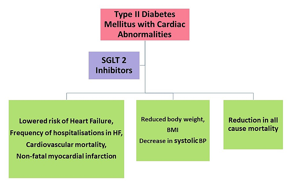 Cureus | Do SGLT2 Inhibitors Improve Cardio-Renal Outcomes In Patients ...