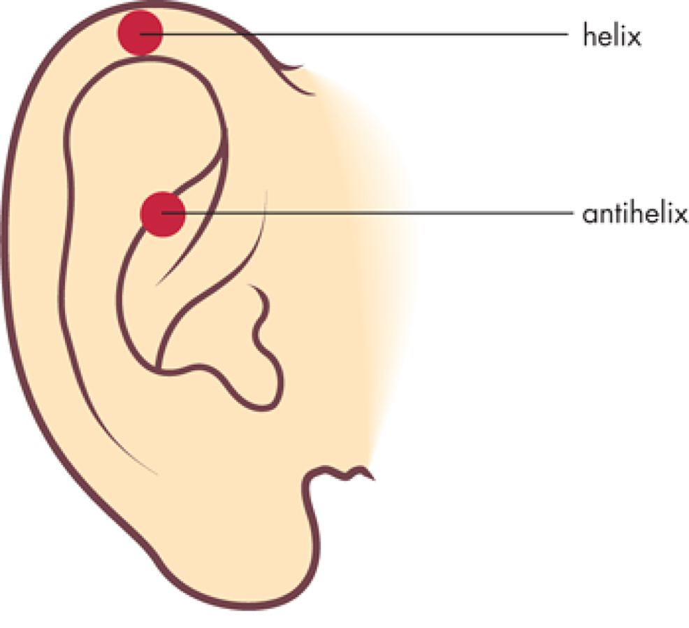 Basic-anatomy-of-the-ear