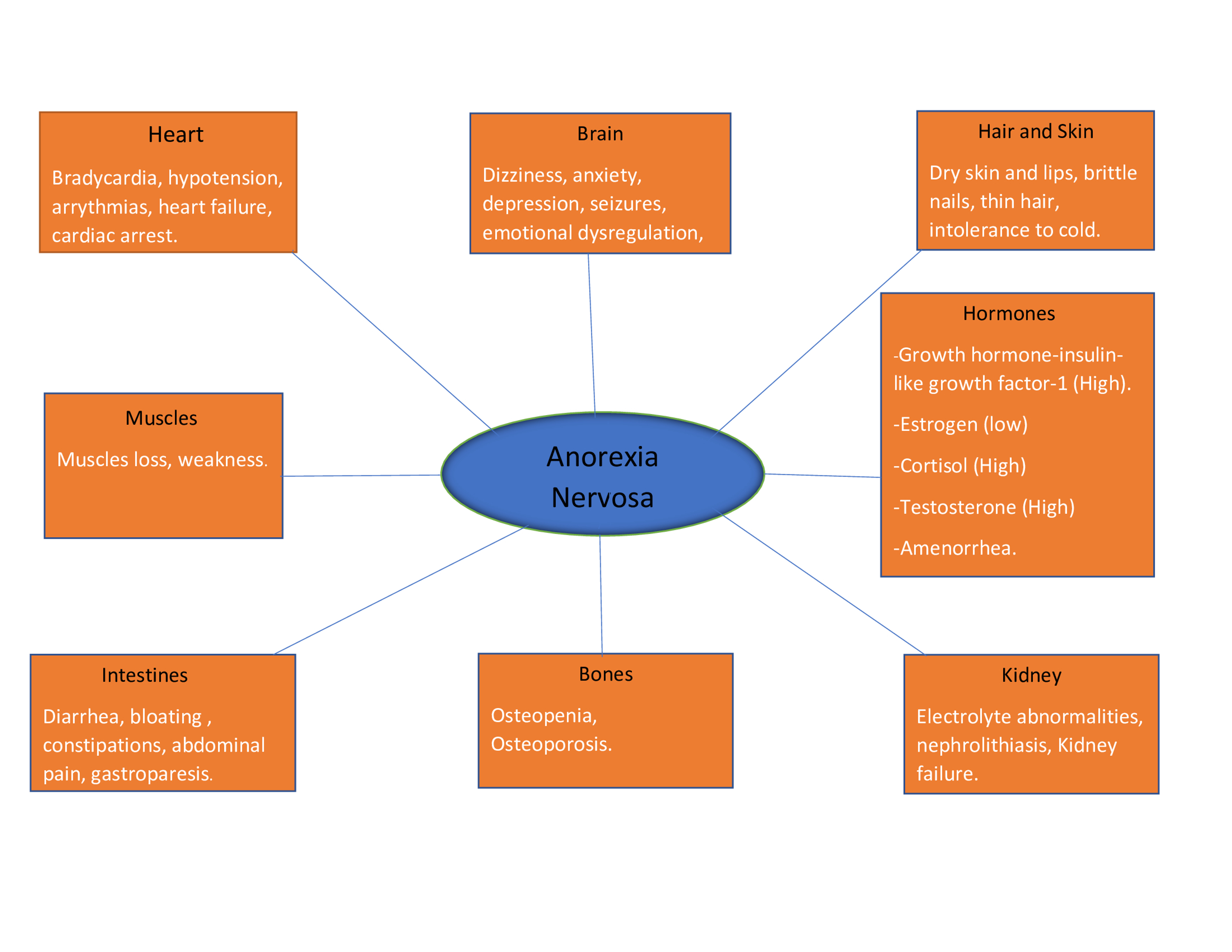 Cureus The Pathophysiology Of Anorexia Nervosa In Hypothalamic 