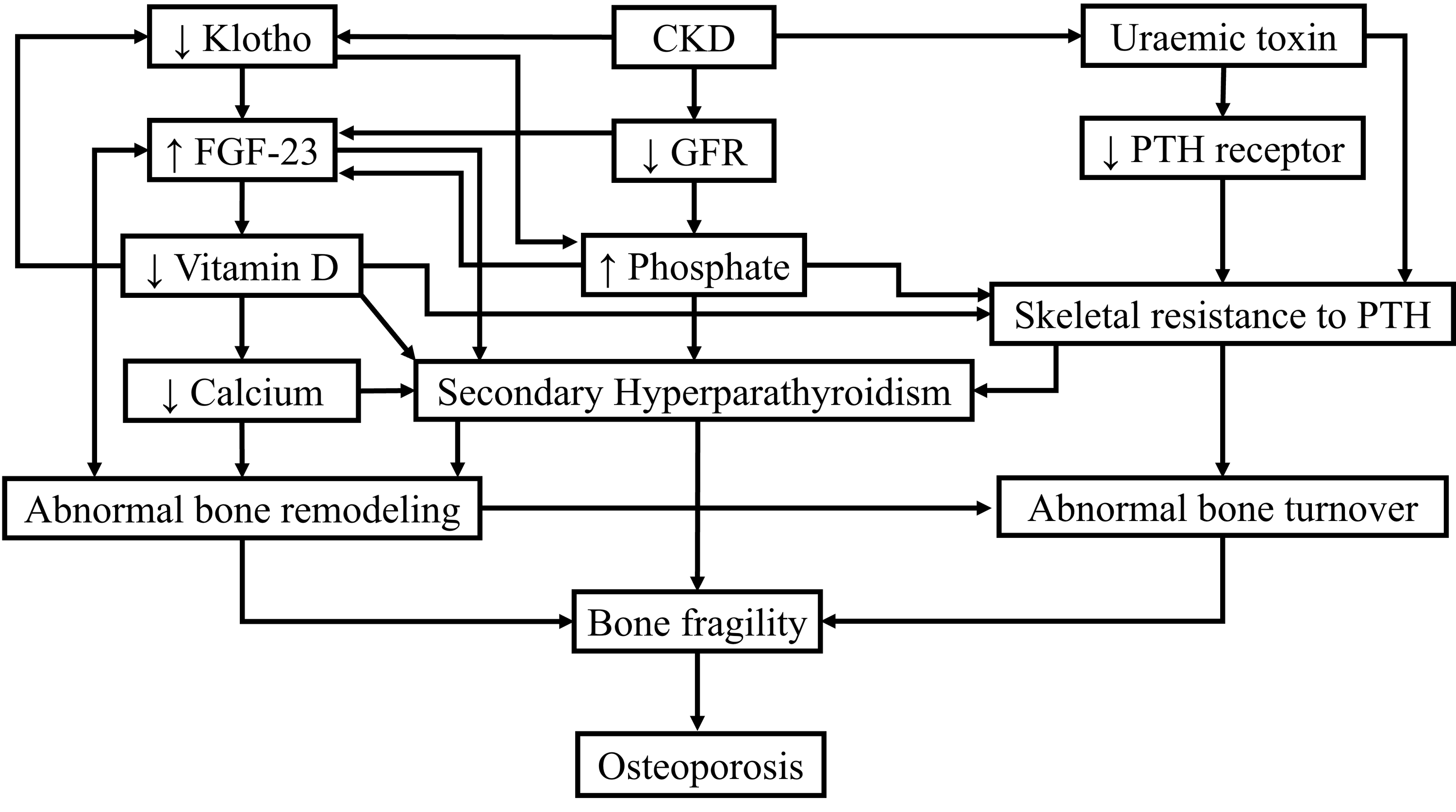 Cureus Osteoporosis, an Inevitable Circumstance of Chronic Kidney
