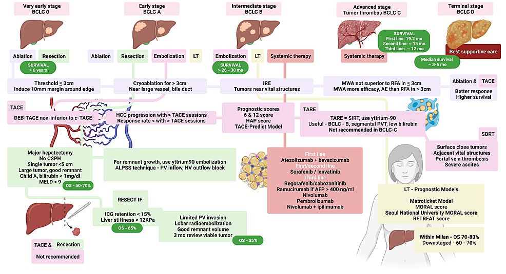 Schematic-representation-of-updated-and-recommended-treatment-for-hepatocellular-carcinoma-(HCC)