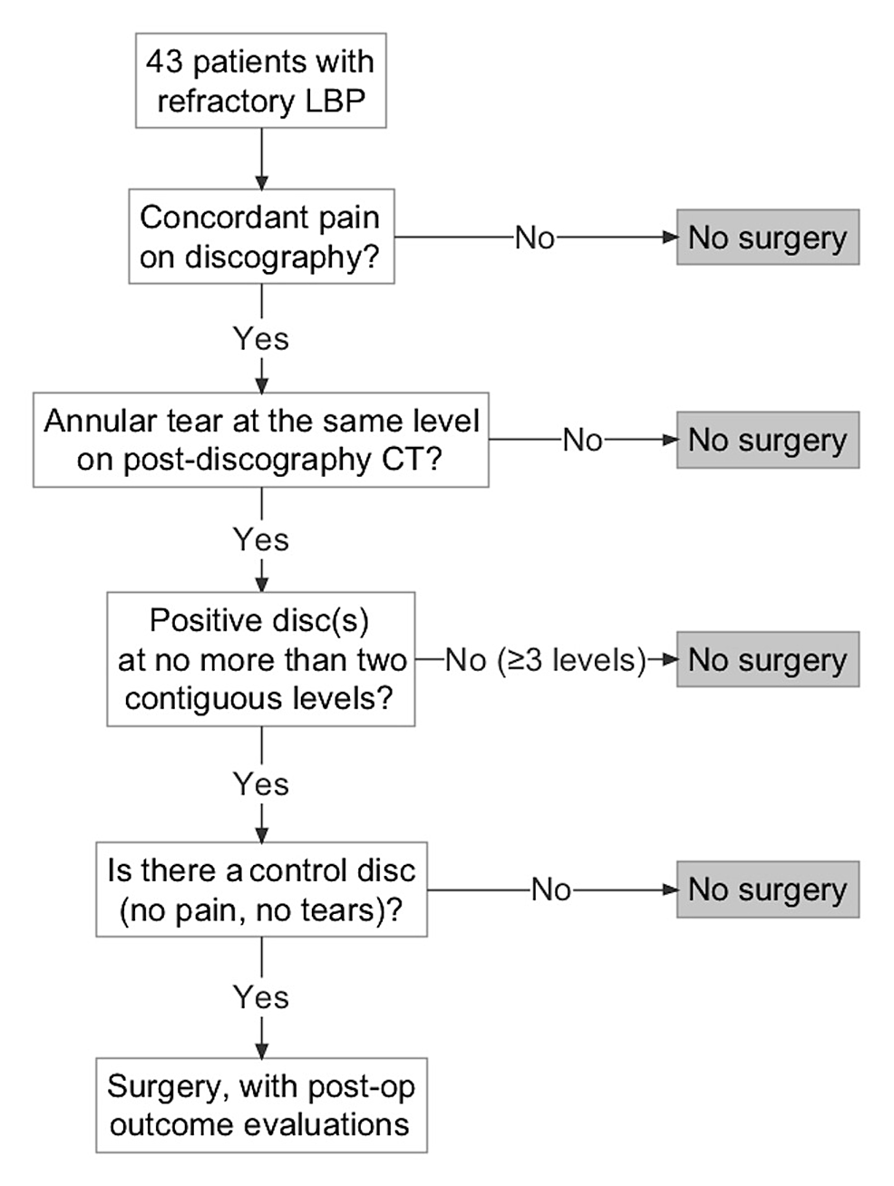 Using Provocative Discography and Computed Tomography to Select