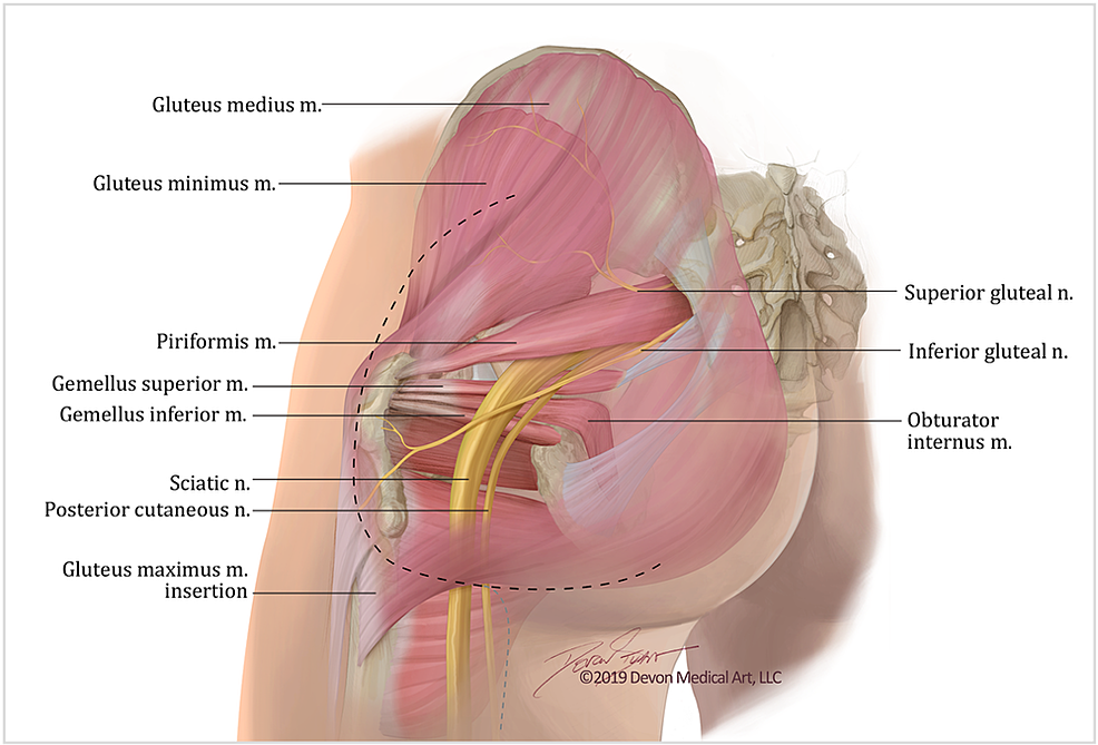 obturator internus lesser sciatic foramen