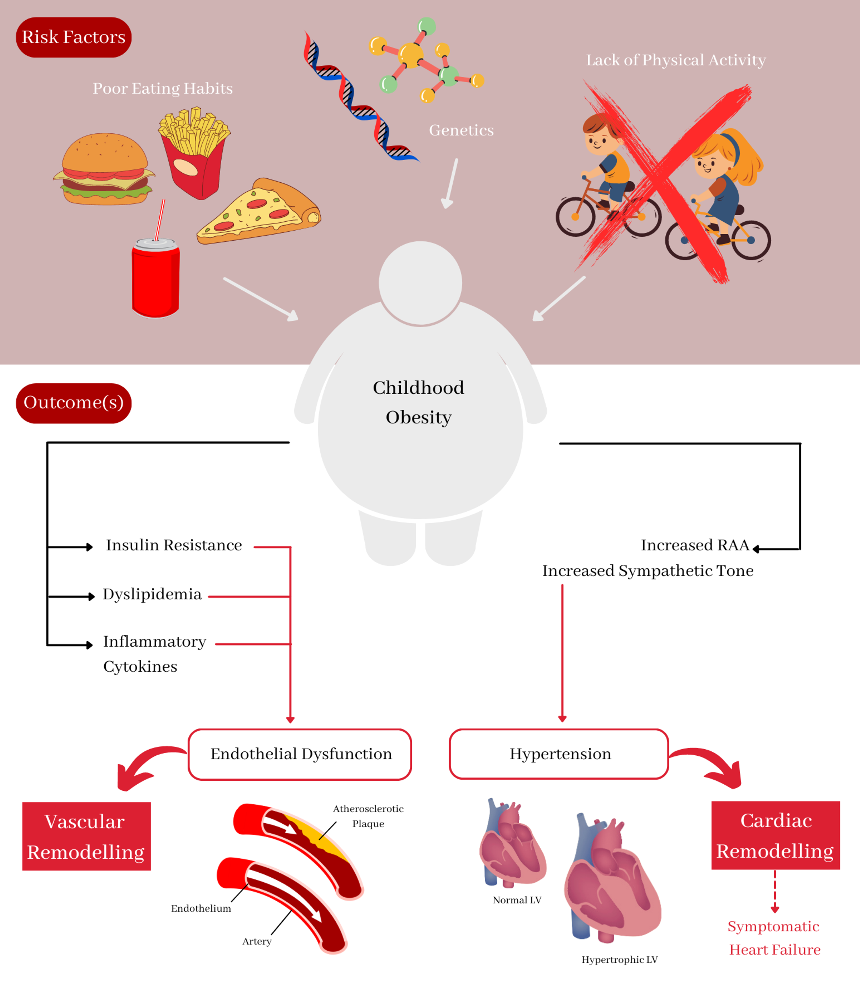systematic review of obesity and diabetes management
