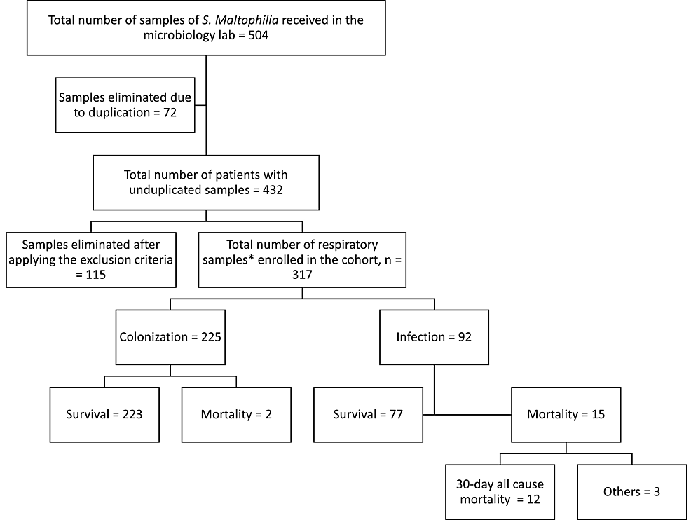 Clinical And Epidemiological Characteristics Of Stenotrophomonas   Article River 008e026042c511ecb4bea3655bac98b7 Figure 1 