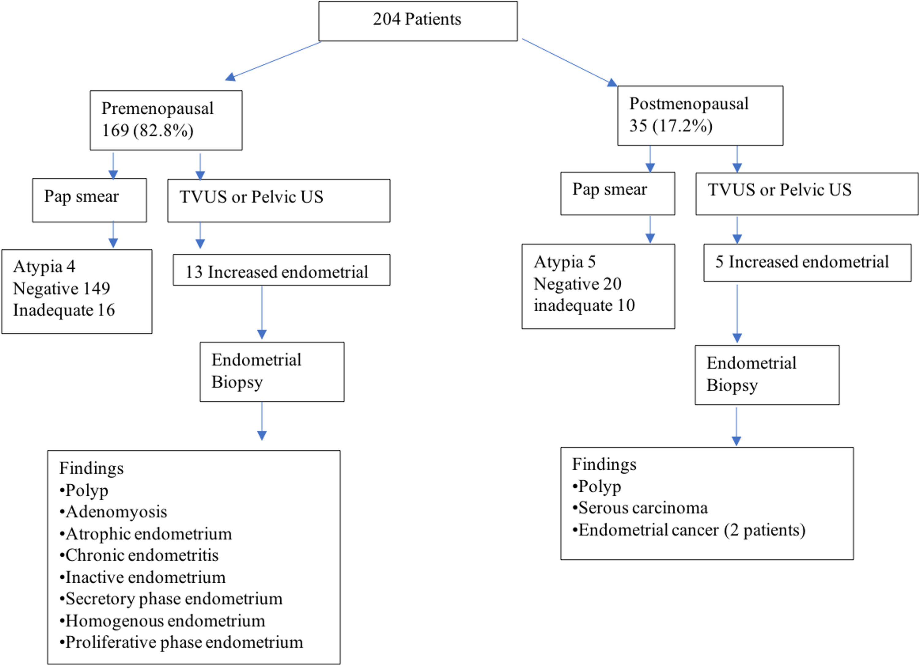 Cureus | Endometrial Surveillance in Tamoxifen and Letrozole Treated ...