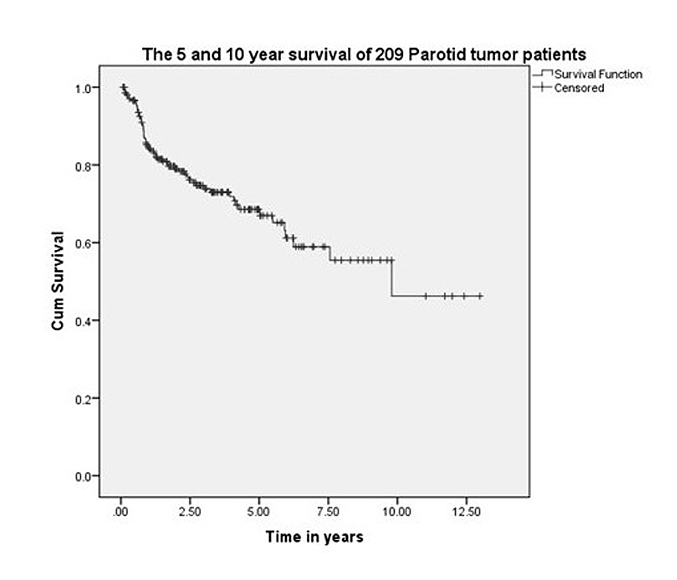 cureus-clinicopathological-behavior-and-oncological-outcomes-of