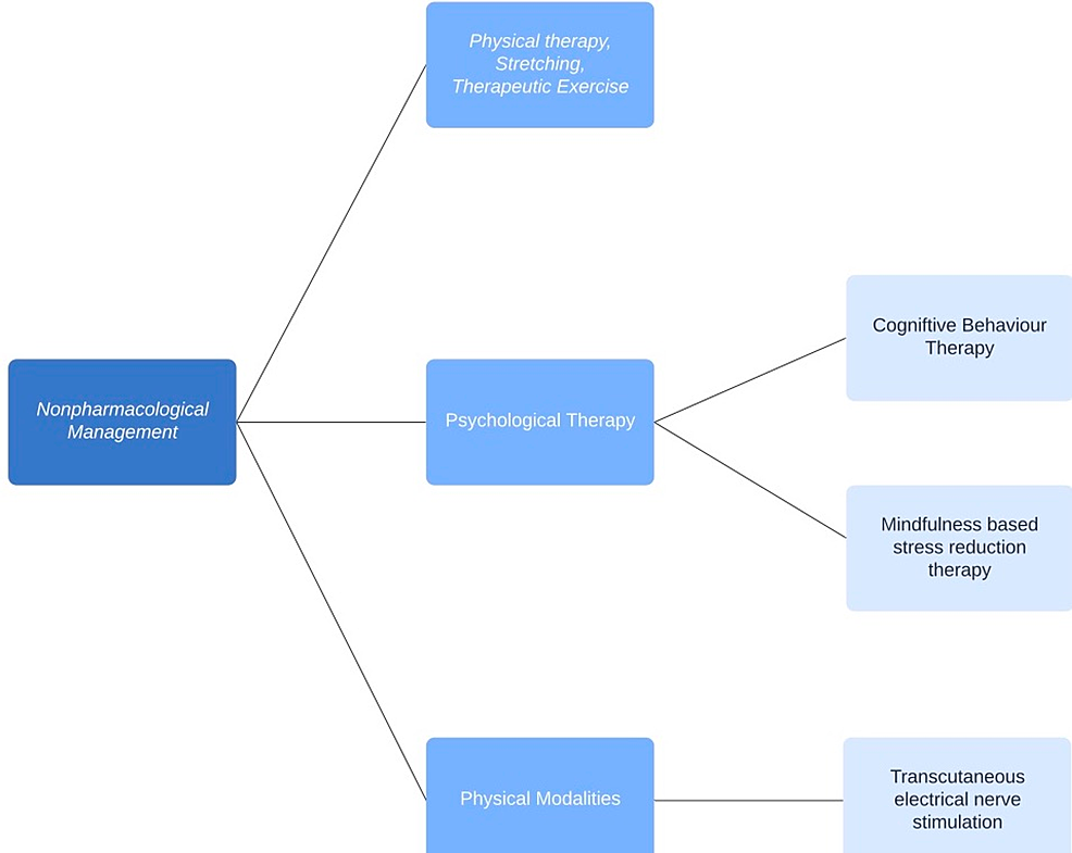 Conceptual model for effectiveness of transcutaneous electrical nerve