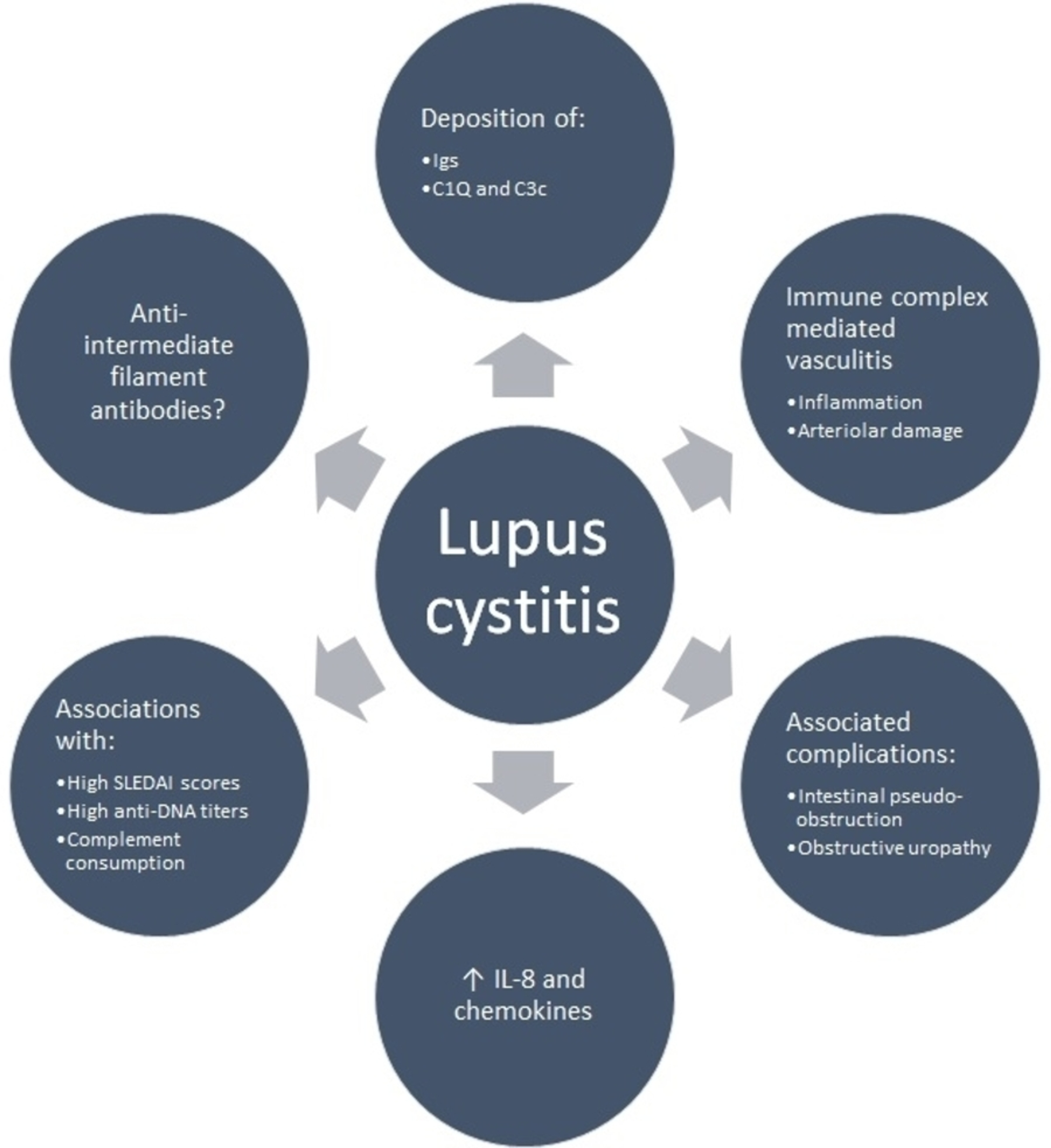 cureus-lupus-cystitis-from-myth-to-reality-a-narrative-review