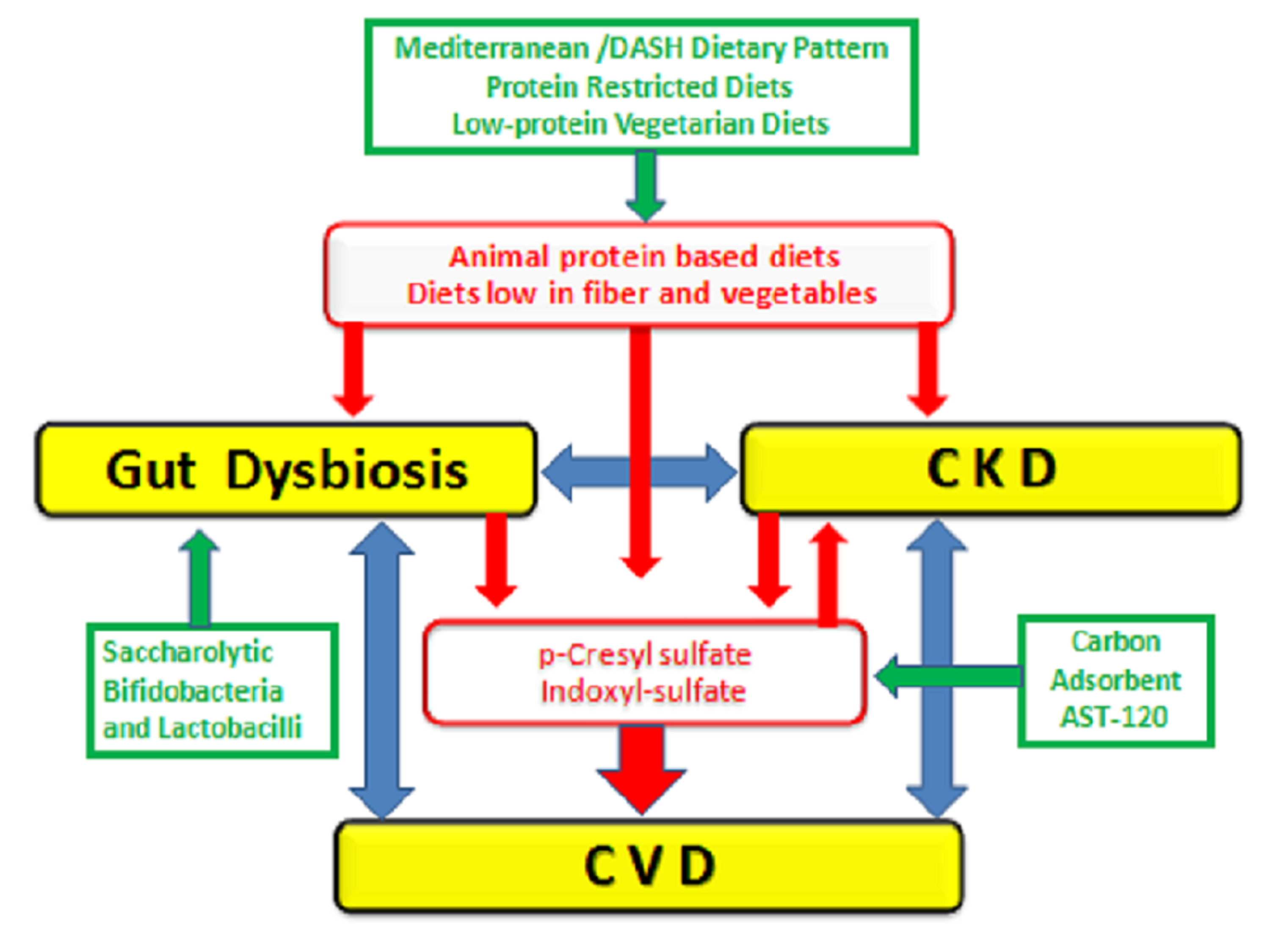 Cureus Chronic Kidney DiseaseAssociated Pruritus A Glance at Novel