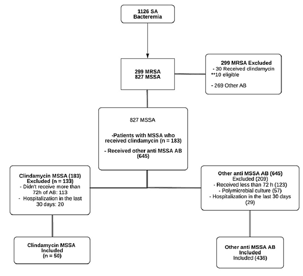 Relapse of Staphylococcus aureus bloodstream infection – patient  information sheet