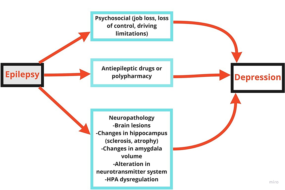 cureus-comorbidity-of-epilepsy-and-depression-associated