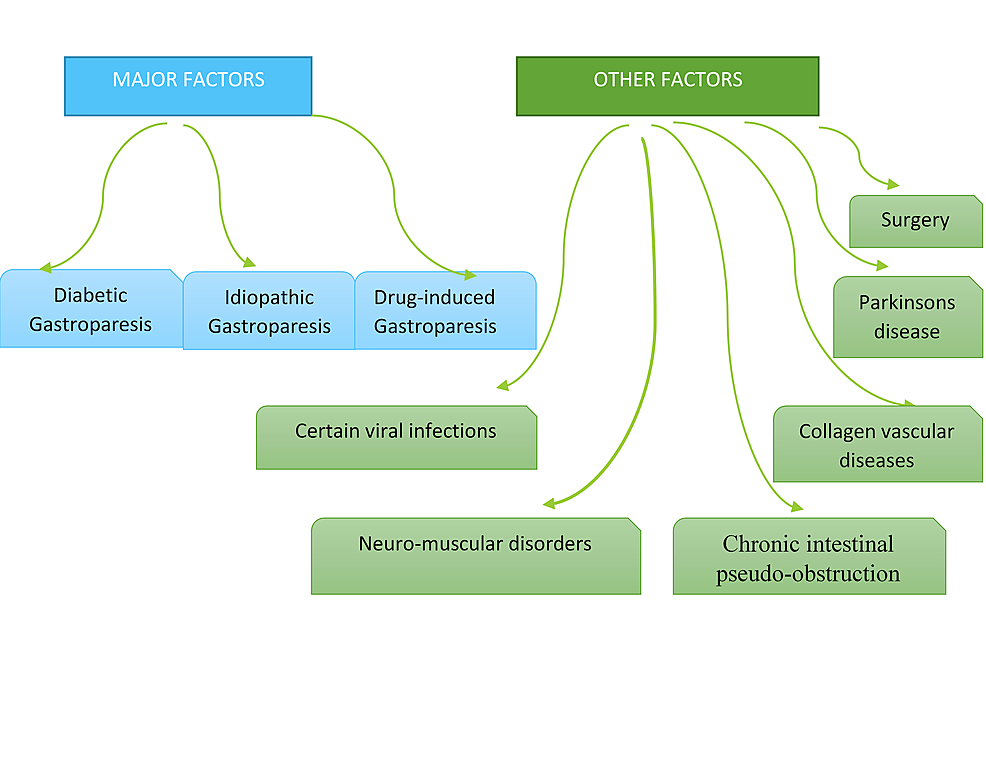 Gastrointestinal Myoelectrical Activity in Idiopathic Intestinal  Pseudo-Obstruction