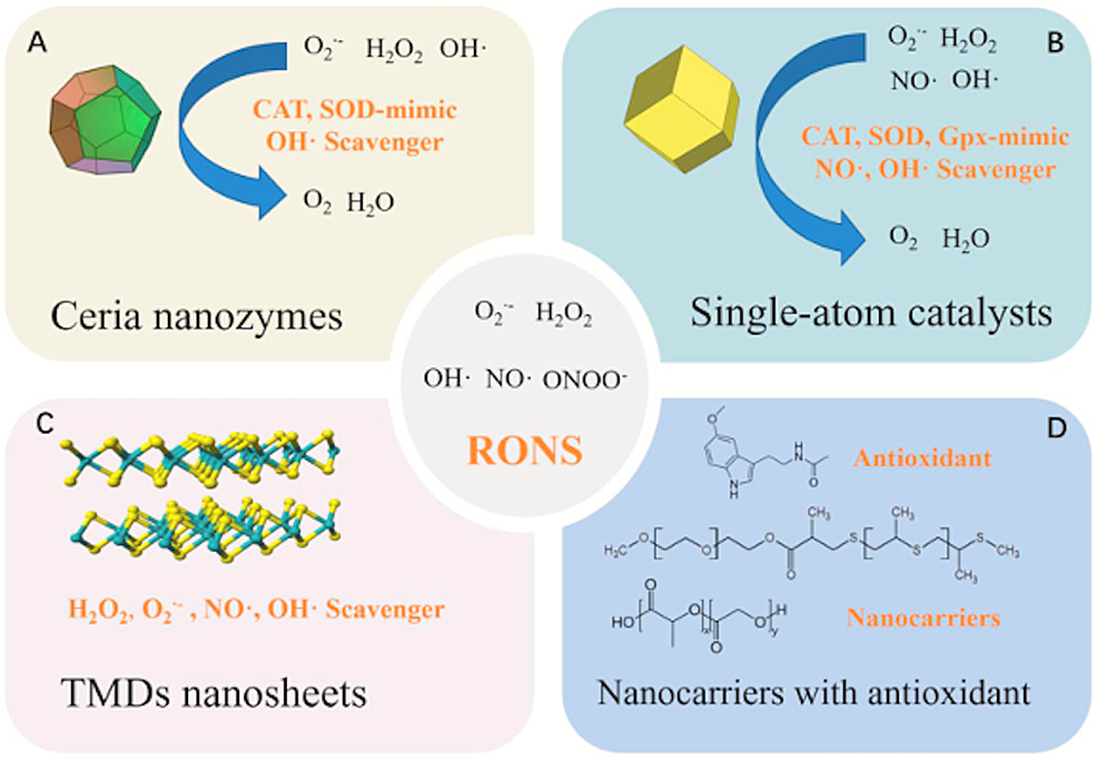 Sepsis Management, Controversies, And Advancement In Nanotechnology: A ...