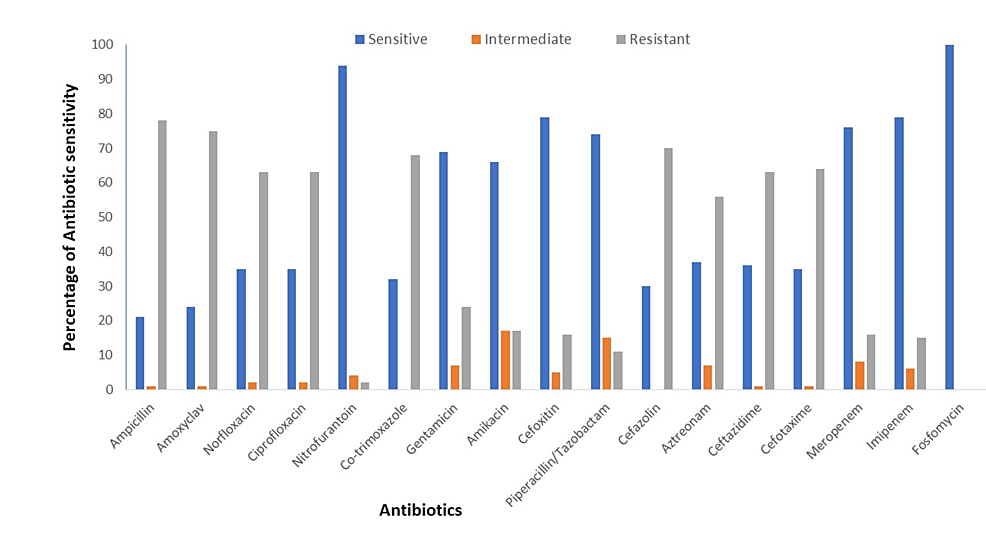 Virulence Genotyping and Multidrug Resistance Pattern of Escherichia