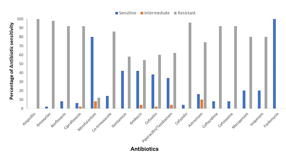 Cureus Virulence Genotyping and Multidrug Resistance Pattern of