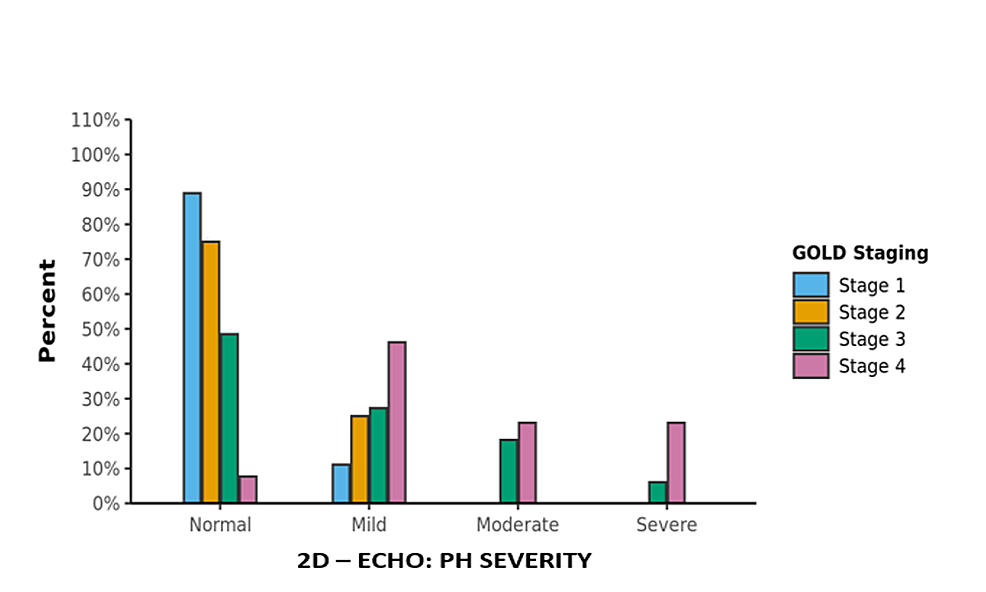 Evaluation of Pulmonary Hypertension in Chronic Obstructive Pulmonary Disease Cureus