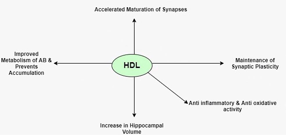 -Beneficial-effects-of-HDL-in-dementia-patients