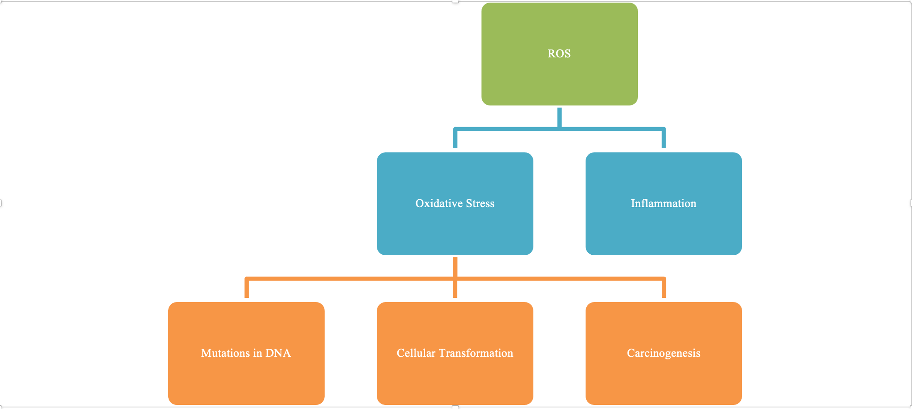 factors-that-affect-wound-healing-dietitian-revision