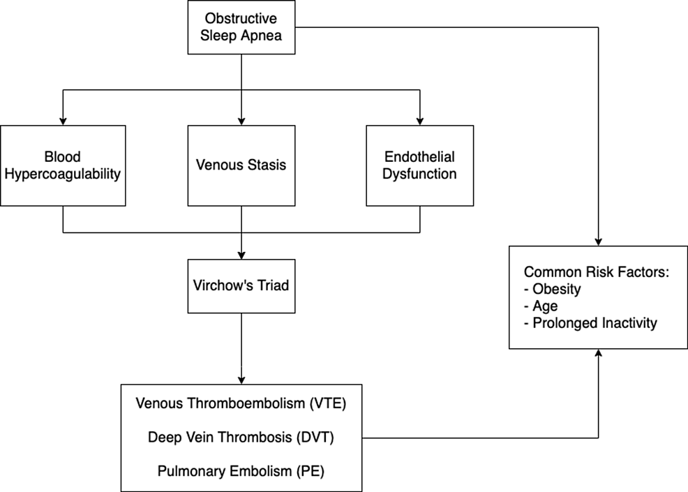 This-figure-illustrates-the-pathophysiological-link-between-OSA-and-VTE.-