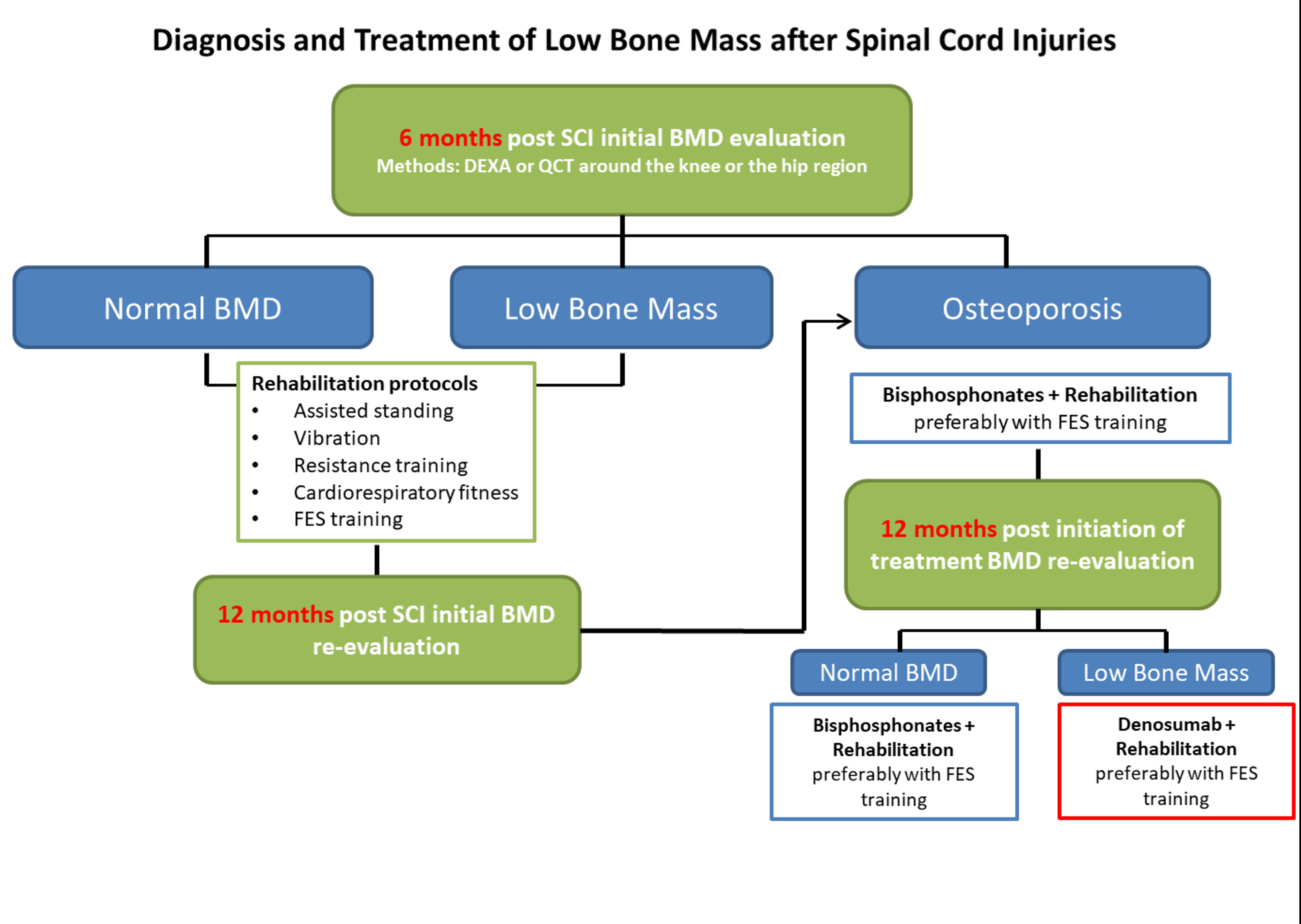 Cureus Bone Mineral Density Post a Spinal Cord Injury A Review of