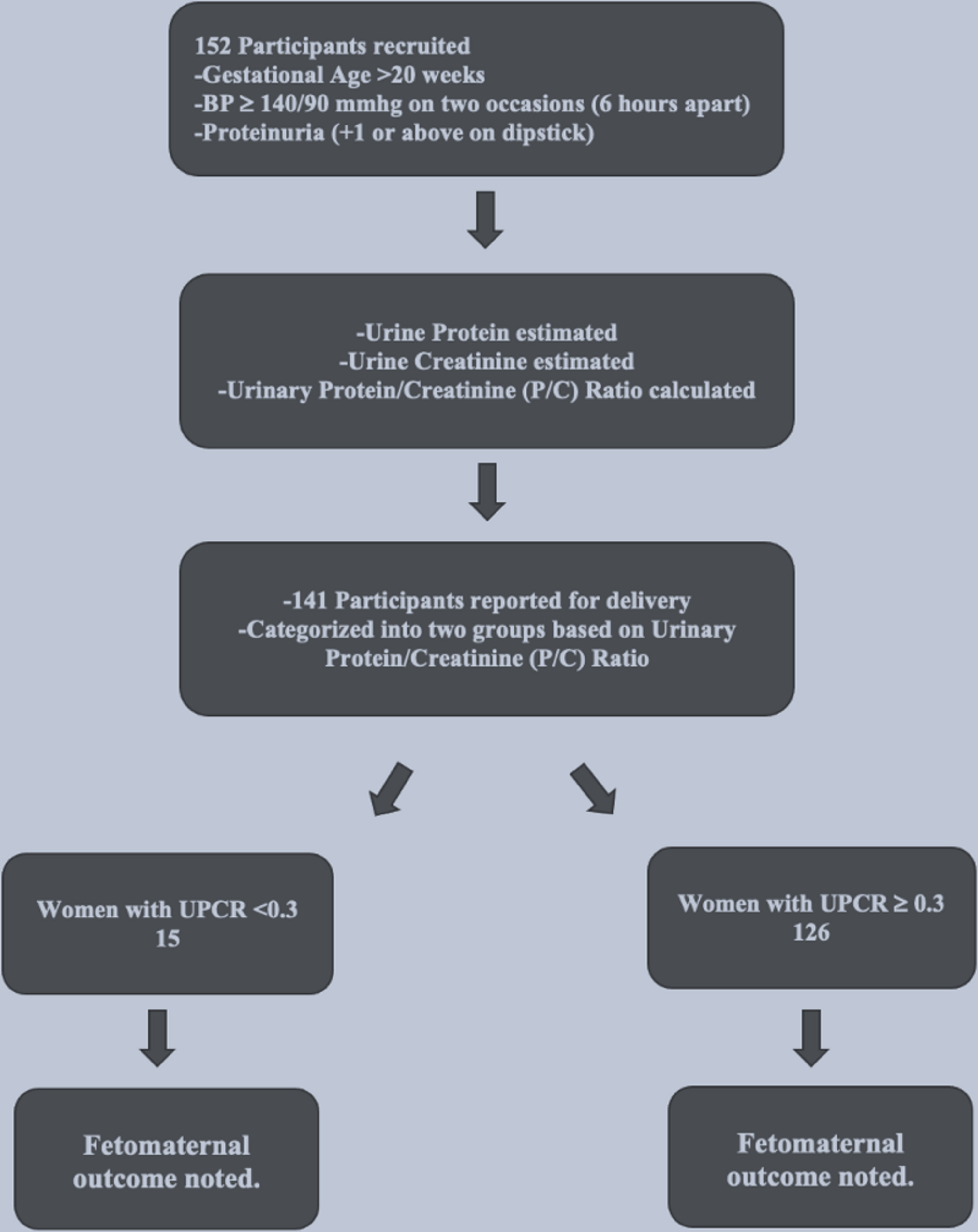 Cureus Urinary ProteintoCreatinine Ratio An Indicator of Adverse Clinical in