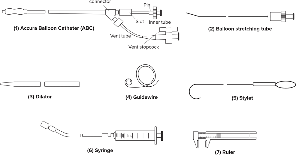 Balloon Mitral Valvotomy With the Accura Double-Lumen Balloon Catheter ...