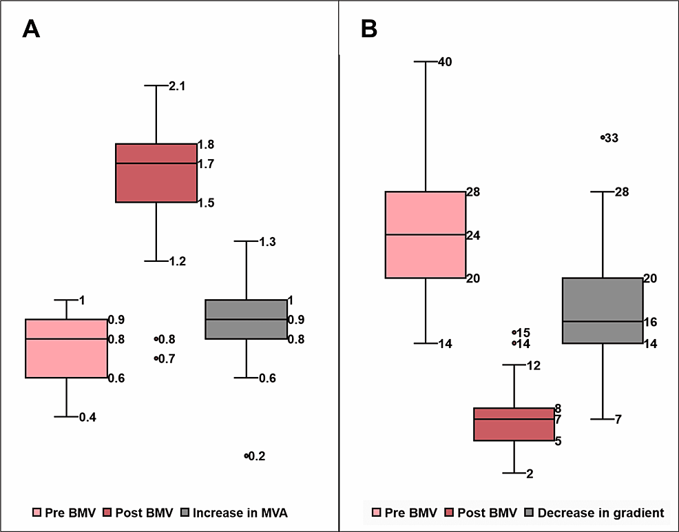 Cureus Balloon Mitral Valvotomy With the Accura DoubleLumen Balloon