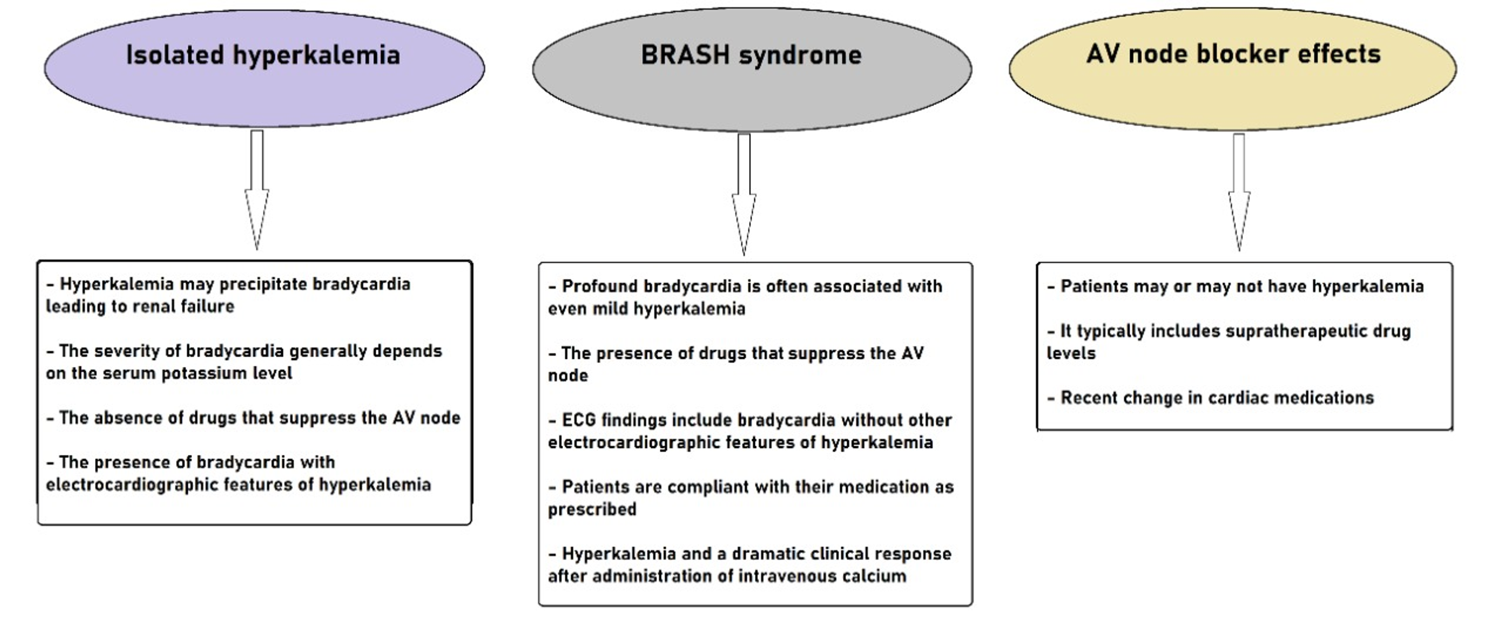 Cureus Bradycardia, Renal Failure, AtrioventricularNodal Blockade
