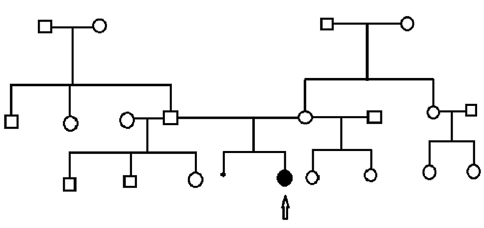 Family-pedigree-of-our-patient;-the-patient-is-pointed-by-an-arrow