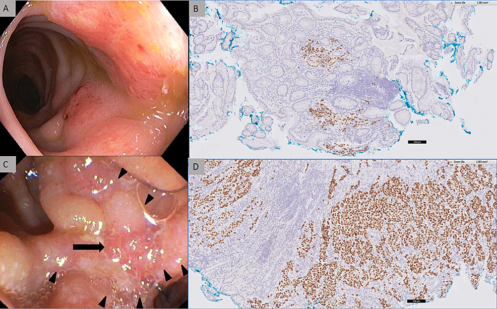 histology