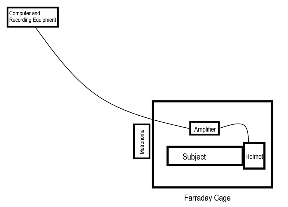 Cureus Measuring The Electromagnetic Field Of The Human Brain At A