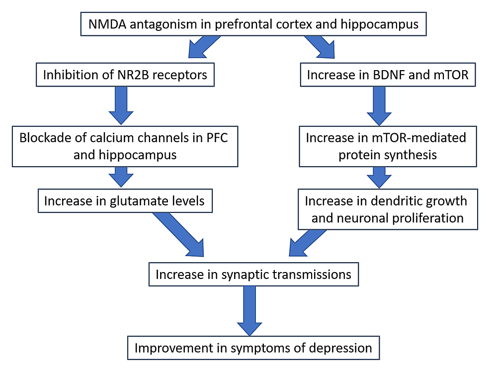 Cureus | A Review of the Mechanism of Antagonism of N-methyl-D-aspartate  Receptor by Ketamine in Treatment-resistant Depression