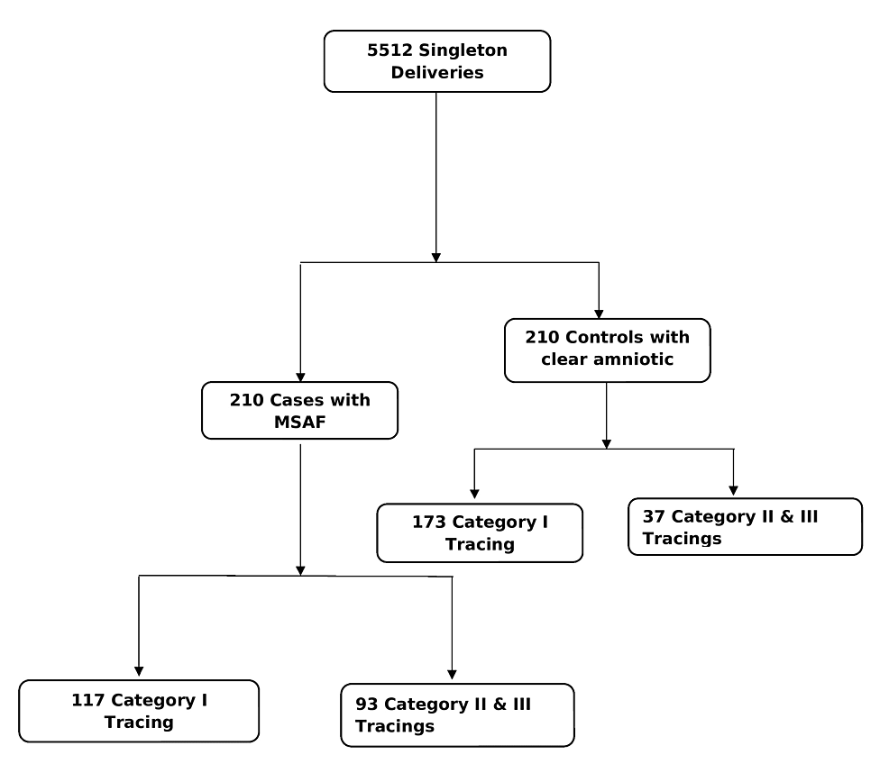 Interpreting Category II Fetal Heart Rate Tracings Does, 42 OFF