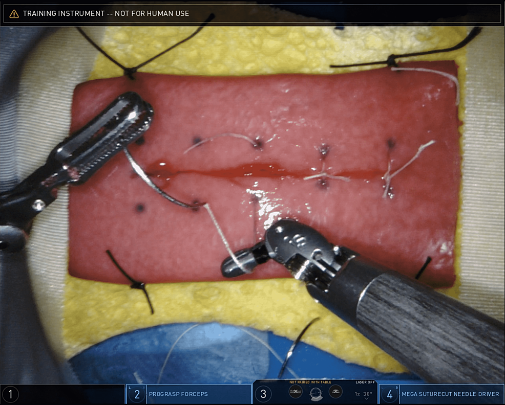 Image-of-trainee-performing-the-first-exercise:-Longitudinal-enterotomy-created-with-electrocautery-followed-by-simple,-interrupted-closure-using-a-3-0-Vicryl-suture.