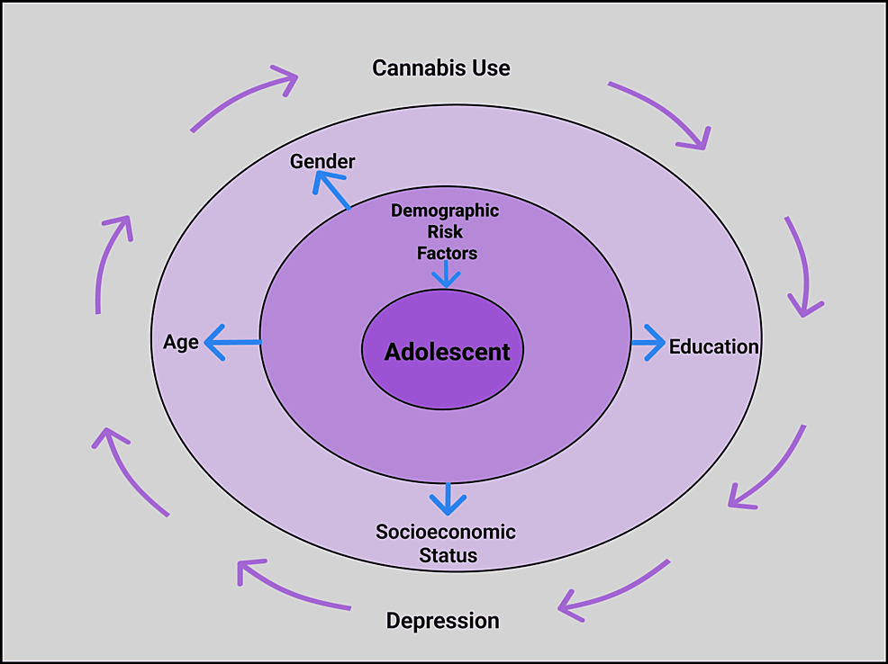 Demographic-Risk-Factors-and-the-Cyclical-Relationship-between-Depression-and-Cannabis-Use-in-adolescents.-