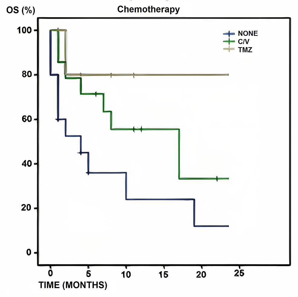Chemotherapy-and-overall-survival