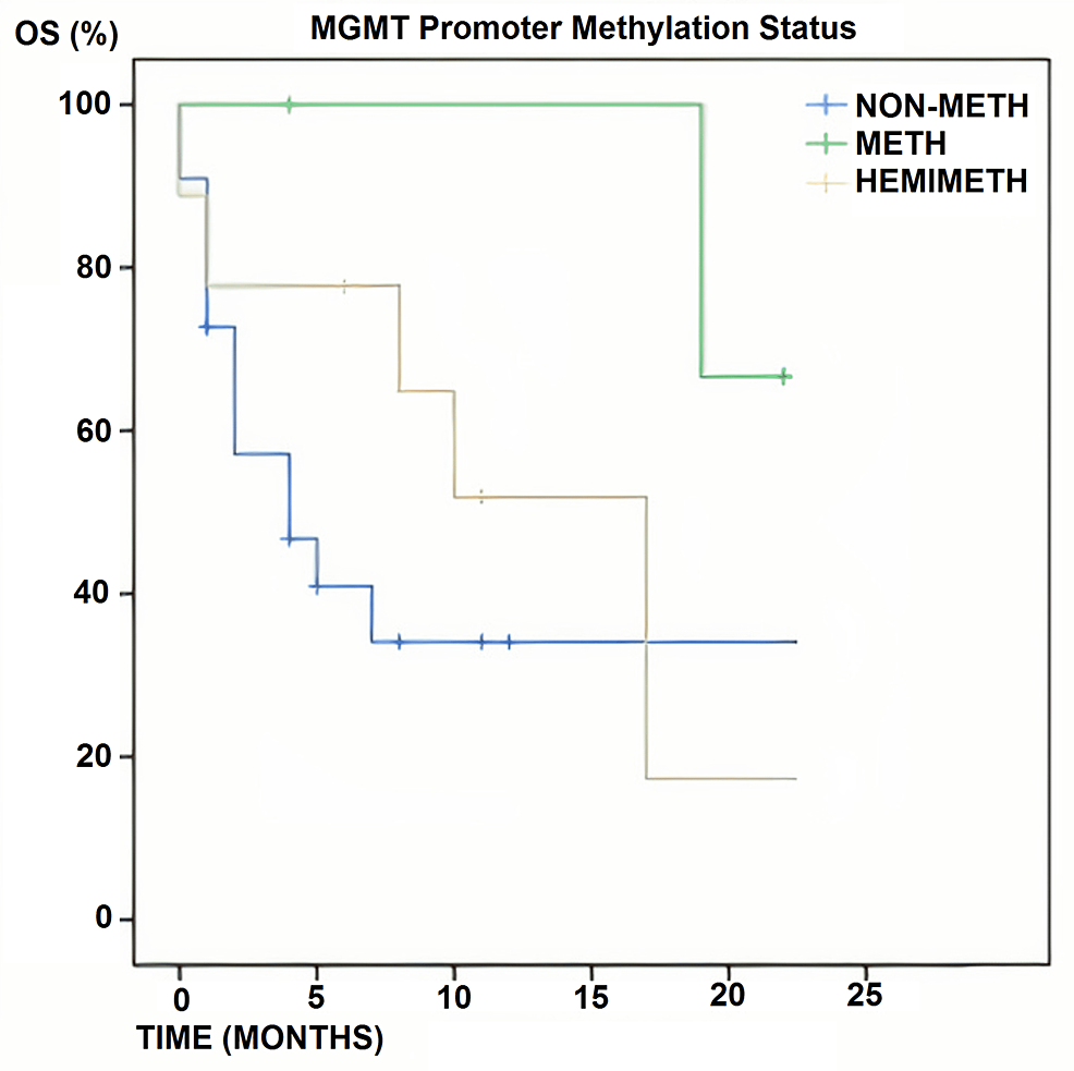 MGMT-promoter-methylation-status