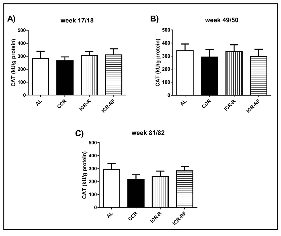 Effects-of-different-types-of-calorie-restriction-on-CAT-activity-in-liver