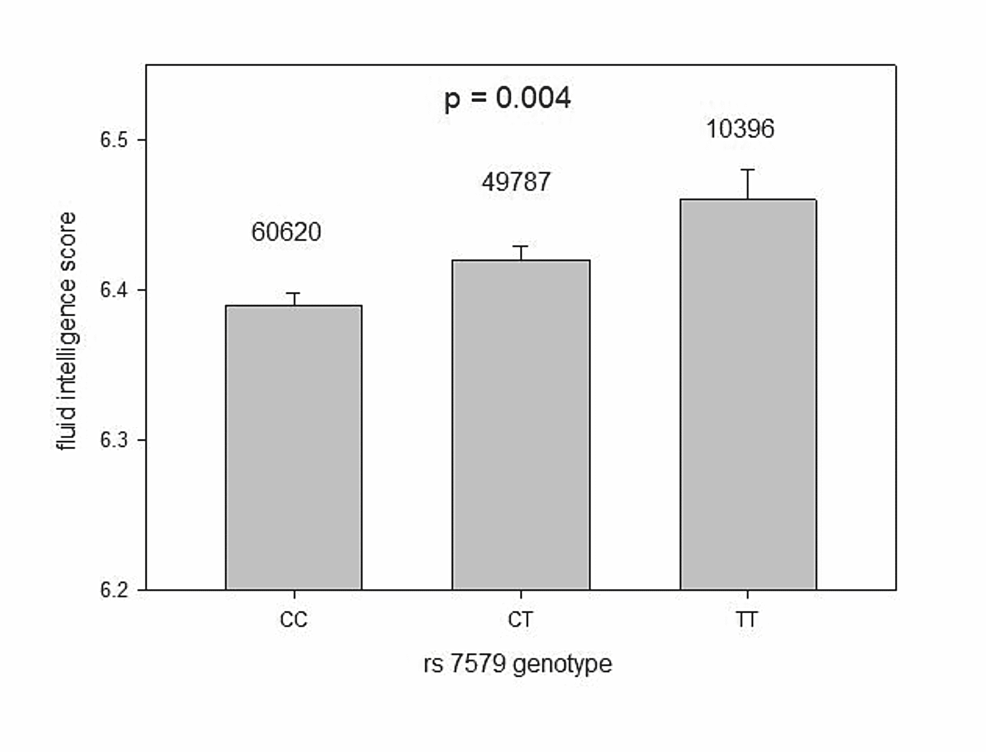 Fluid-intelligence-score-by-SNP-rs7579-genotypes-CC,-CT,-and-TT-(mean-+-SEM).-