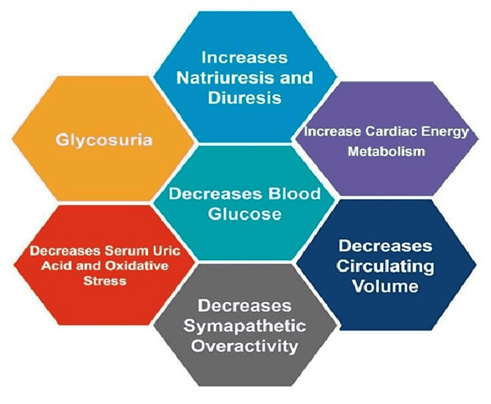 A Systematic Review Of Sodium-Glucose Cotransporter 2 (SGLT2 ...