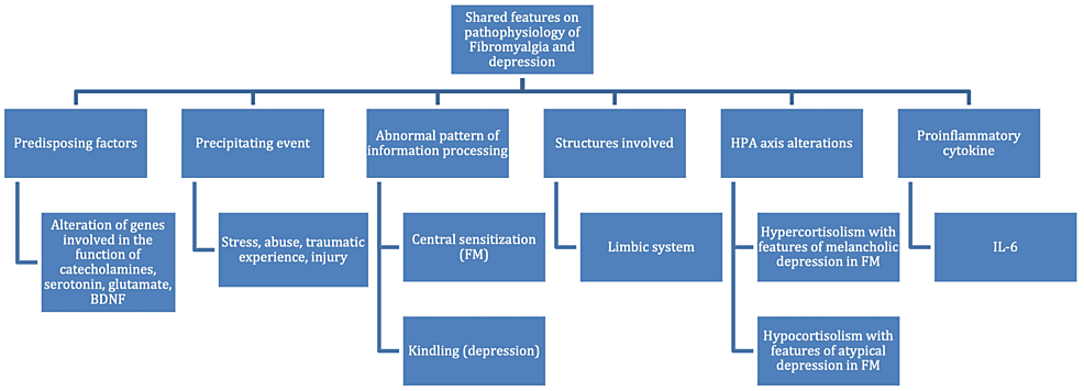 fibromyalgia and depression a literature review of their shared aspects