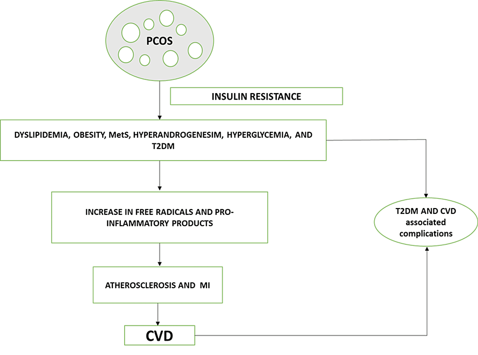 Summary-of-cardio-metabolic-risk-factors-of-PCOS.