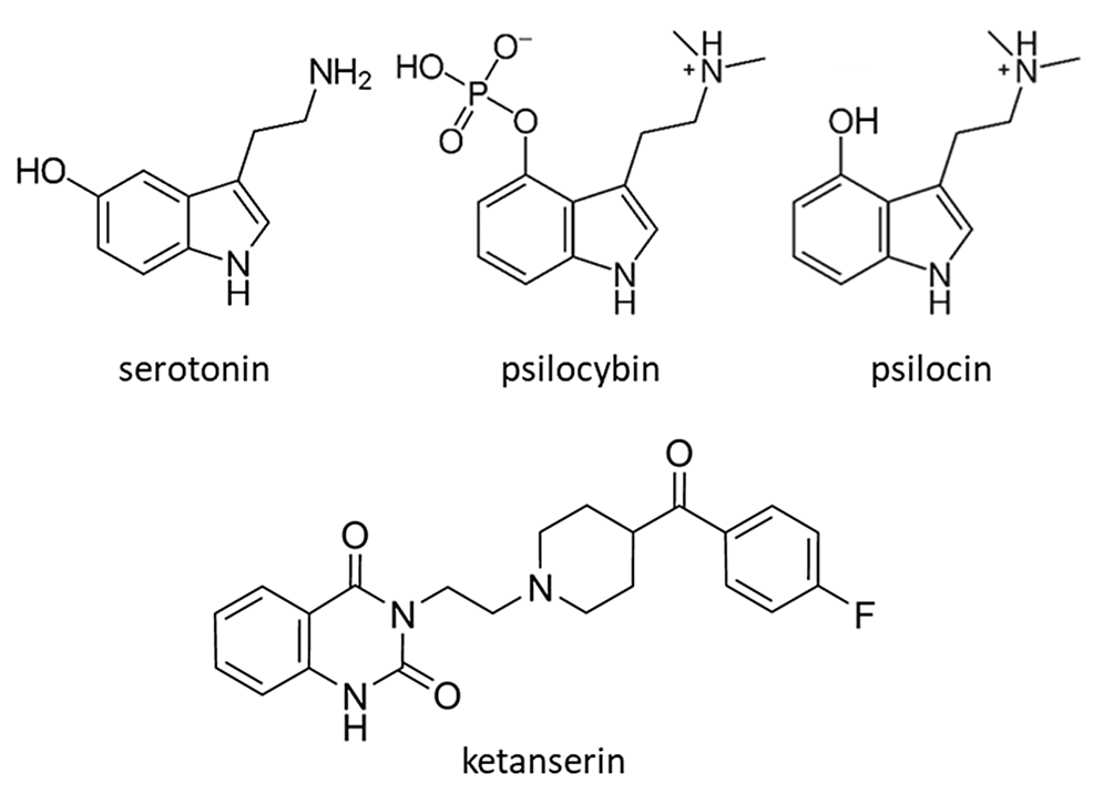 Molecular-structures-of-serotonin,-psilocybin,-psilocin,-and-ketanserin.-(Creative-Commons-CC-BY-SA-3.0;-Public-Domain)-