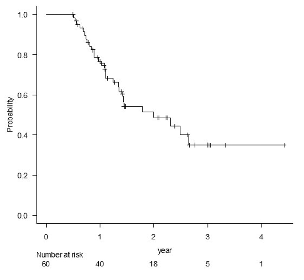 Cureus, Brainstem and Spinal Arachnoiditis Ossificans Associated With  Neurocysticercosis: A Case Report