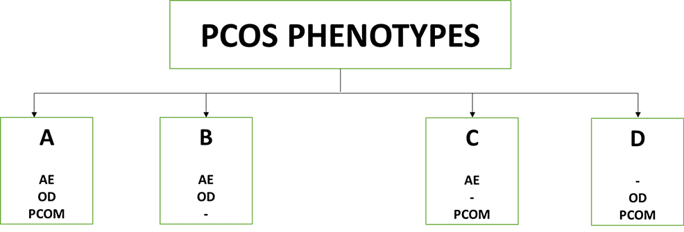 Figure-depicting-the-four-phenotypes-of-PCOS.